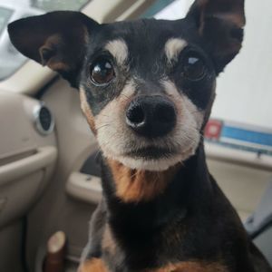 Meet your Posher, Tom